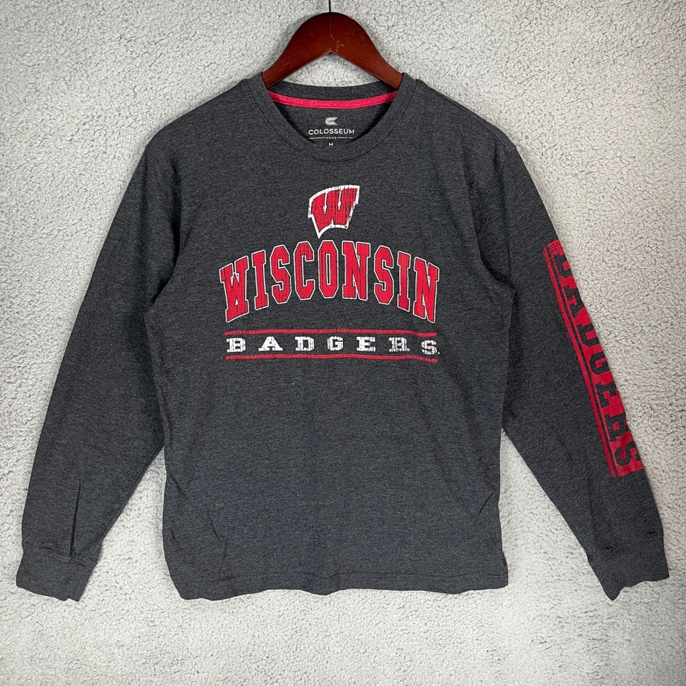 Colosseum Wisconsin Badgers Mens Medium Gray Long Sleeve Graphic T-Shirt NCAA
